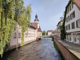 IMG20240629094030